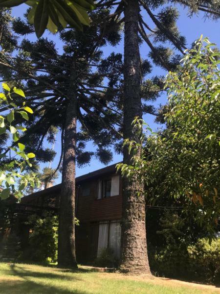 Hotel Costanera Pucon Exterior photo